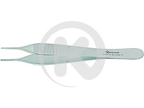 Kudosatulat Atulat Adson, 12 cm
