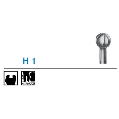 Komet ruusupora H 1/WL puolipitkä