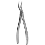 Pihti Yläjuuri Fx97E