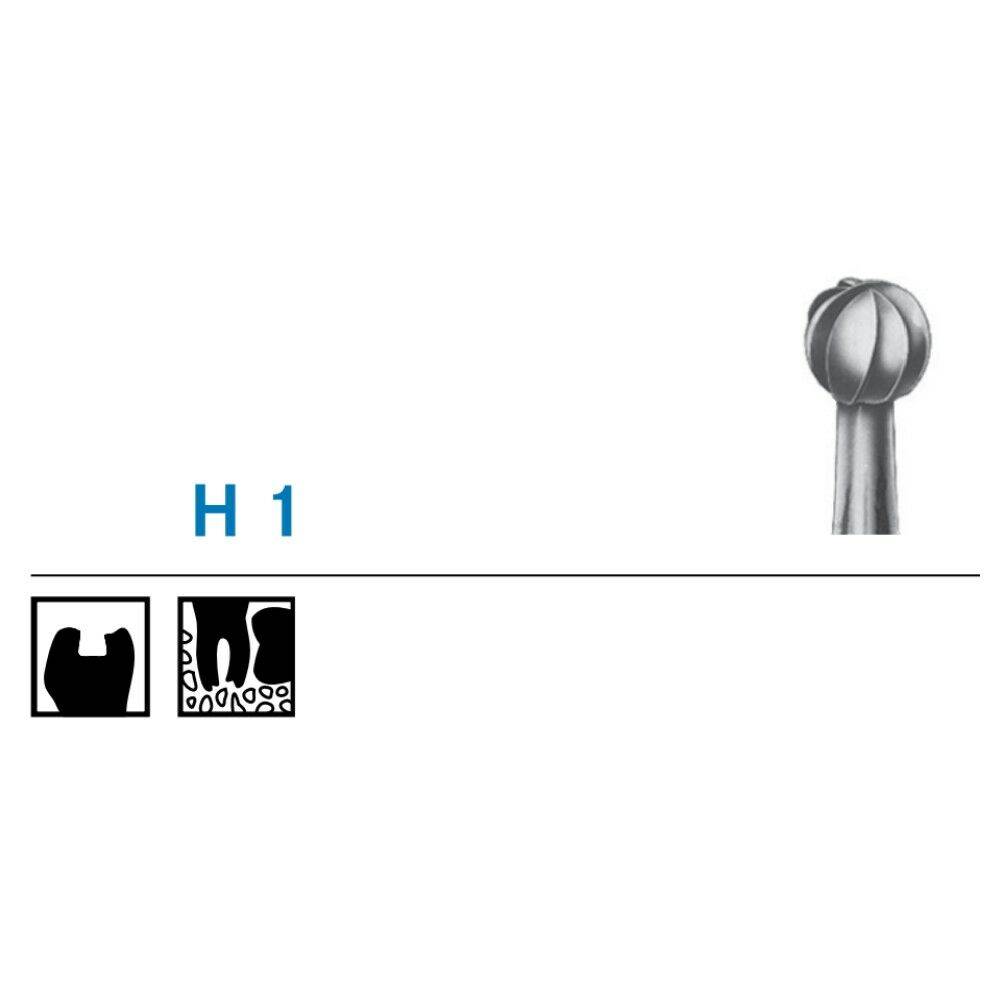 Komet ruusupora H 1/WL puolipitkä